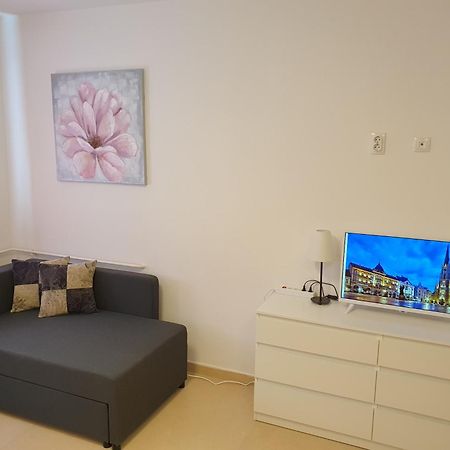 Podbara Center Leilighet Novi Sad Eksteriør bilde