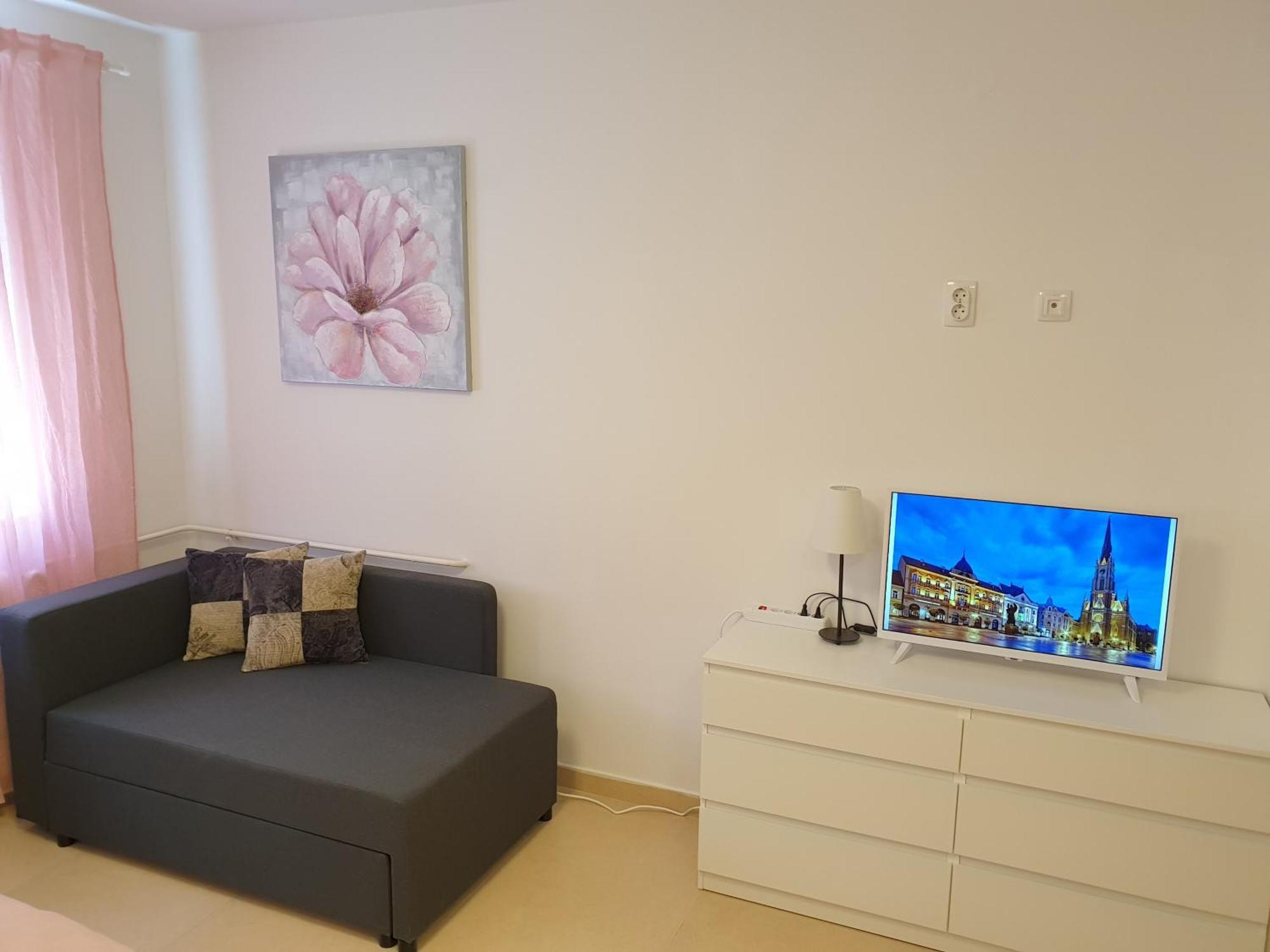 Podbara Center Leilighet Novi Sad Eksteriør bilde